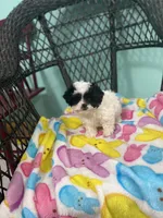 processed/60071092-7fb3-4c10-8ac6-384af2bfac8d/listing/88d1510a-80d0-4835-94c1-4e8225a99675/19a471ce-a0dd-4933-83e2-089447cefb34