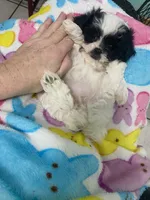 processed/60071092-7fb3-4c10-8ac6-384af2bfac8d/listing/88d1510a-80d0-4835-94c1-4e8225a99675/d0f43a33-9cbf-4295-9a4b-268015f91add