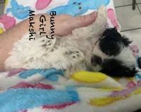 processed/60071092-7fb3-4c10-8ac6-384af2bfac8d/listing/88d1510a-80d0-4835-94c1-4e8225a99675/e191c34c-c6f4-4219-83a3-5b5140b7b002