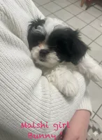 processed/60071092-7fb3-4c10-8ac6-384af2bfac8d/listing/88d1510a-80d0-4835-94c1-4e8225a99675/e1c34600-31e7-4d16-bc4e-c13ba64f7852