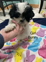 processed/60071092-7fb3-4c10-8ac6-384af2bfac8d/listing/88d1510a-80d0-4835-94c1-4e8225a99675/e5827b27-3a25-4e01-aaa0-0356684bdbde