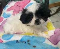 processed/60071092-7fb3-4c10-8ac6-384af2bfac8d/listing/88d1510a-80d0-4835-94c1-4e8225a99675/f82a9d1f-5ded-4279-a915-12702e58fd12