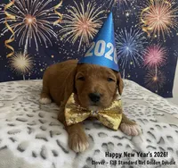 processed/60071092-7fb3-4c10-8ac6-384af2bfac8d/listing/97ef1330-ad23-4e4f-a572-1ea3d7560ada/63f54e49-7fd5-4a9a-84dc-82b8b75016b9