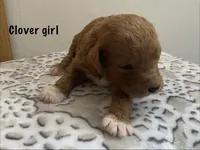 processed/60071092-7fb3-4c10-8ac6-384af2bfac8d/listing/97ef1330-ad23-4e4f-a572-1ea3d7560ada/828375a1-2ac9-4500-96b5-2f38a8bed1e6