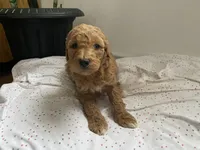 processed/60071092-7fb3-4c10-8ac6-384af2bfac8d/listing/97ef1330-ad23-4e4f-a572-1ea3d7560ada/aa2438aa-bc81-4d62-a9a5-3ab4903cd44d