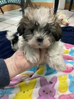 processed/60071092-7fb3-4c10-8ac6-384af2bfac8d/listing/9affd2f0-6235-473c-8a55-028d29fb95da/4a88c6ae-3664-48a0-ae23-b6871a464977