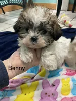 processed/60071092-7fb3-4c10-8ac6-384af2bfac8d/listing/9affd2f0-6235-473c-8a55-028d29fb95da/5aaca208-4575-4d93-b013-c6e647ddcdac