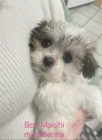 processed/60071092-7fb3-4c10-8ac6-384af2bfac8d/listing/9affd2f0-6235-473c-8a55-028d29fb95da/92d6ffa8-b4f3-4617-9469-d9a1484f7762