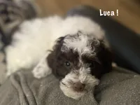 processed/60071092-7fb3-4c10-8ac6-384af2bfac8d/listing/a81f202b-4673-45aa-aab4-8ae3a8332254/3eeac7dc-57df-4cbe-a9d6-eee7c5e98950