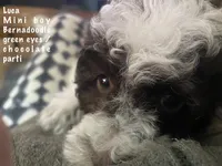 processed/60071092-7fb3-4c10-8ac6-384af2bfac8d/listing/a81f202b-4673-45aa-aab4-8ae3a8332254/65d902e2-9543-4bc6-bdad-3360dd73b1ef