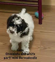 processed/60071092-7fb3-4c10-8ac6-384af2bfac8d/listing/a81f202b-4673-45aa-aab4-8ae3a8332254/b5765d76-2abc-4f7a-8d3b-4e8d522b7bd4