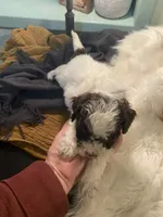 processed/60071092-7fb3-4c10-8ac6-384af2bfac8d/listing/a81f202b-4673-45aa-aab4-8ae3a8332254/f349c7f2-c0aa-4a73-9a13-8a2672d84de3