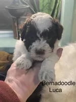 processed/60071092-7fb3-4c10-8ac6-384af2bfac8d/listing/a81f202b-4673-45aa-aab4-8ae3a8332254/fa10fbad-ea40-44ad-8b5b-e899021b13a9