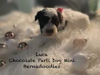 processed/60071092-7fb3-4c10-8ac6-384af2bfac8d/listing/a81f202b-4673-45aa-aab4-8ae3a8332254/fce09984-1de1-451c-a6a2-2f80e0f8c7e9