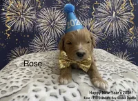 processed/60071092-7fb3-4c10-8ac6-384af2bfac8d/listing/a8eaa30c-5c6e-406d-bc63-cd5bd23d5914/040f6c3e-28f5-4459-a96b-34c8f6ecf3d5