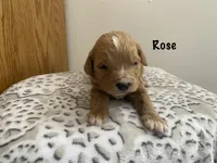 processed/60071092-7fb3-4c10-8ac6-384af2bfac8d/listing/a8eaa30c-5c6e-406d-bc63-cd5bd23d5914/366b270c-863b-4722-a859-f327a2995e4d