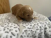 processed/60071092-7fb3-4c10-8ac6-384af2bfac8d/listing/a8eaa30c-5c6e-406d-bc63-cd5bd23d5914/41478c78-42d1-400d-b266-c4b9a77e6ebc