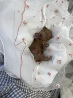 processed/60071092-7fb3-4c10-8ac6-384af2bfac8d/listing/a8eaa30c-5c6e-406d-bc63-cd5bd23d5914/4aeaf8eb-fe63-4ece-9f02-5dbb79b5186d