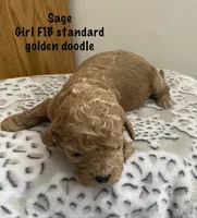 processed/60071092-7fb3-4c10-8ac6-384af2bfac8d/listing/b75c7c17-dbec-4bae-bcda-25dc096c2d0c/3ff5ff52-6adc-4a6d-9f10-8f69c5c79a29