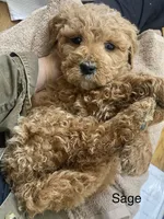 processed/60071092-7fb3-4c10-8ac6-384af2bfac8d/listing/b75c7c17-dbec-4bae-bcda-25dc096c2d0c/8a3a002c-1ea2-4bbb-89e7-1072bc98f543