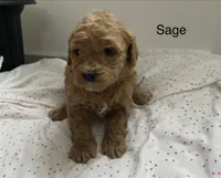 processed/60071092-7fb3-4c10-8ac6-384af2bfac8d/listing/b75c7c17-dbec-4bae-bcda-25dc096c2d0c/9542d90f-dbf9-4663-ba77-b53914e7d971