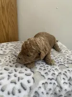 processed/60071092-7fb3-4c10-8ac6-384af2bfac8d/listing/b75c7c17-dbec-4bae-bcda-25dc096c2d0c/a170f316-6348-4891-a3bf-2115519330e2