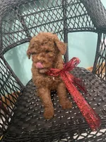 processed/60071092-7fb3-4c10-8ac6-384af2bfac8d/listing/be9235ef-8b97-4559-890c-fab785d407a2/280df958-87ee-4232-b344-3e1da75a614d