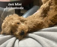 processed/60071092-7fb3-4c10-8ac6-384af2bfac8d/listing/be9235ef-8b97-4559-890c-fab785d407a2/2a39c5fa-1296-45fd-b3d8-a8b20bb016a2