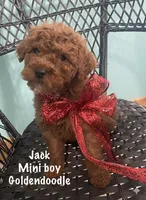 processed/60071092-7fb3-4c10-8ac6-384af2bfac8d/listing/be9235ef-8b97-4559-890c-fab785d407a2/4207b83e-542d-43d3-a765-0d5ff7a8dd27