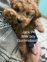 processed/60071092-7fb3-4c10-8ac6-384af2bfac8d/listing/be9235ef-8b97-4559-890c-fab785d407a2/6db1ba19-f9ac-47d7-88e0-24f82db374ff