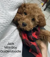 processed/60071092-7fb3-4c10-8ac6-384af2bfac8d/listing/be9235ef-8b97-4559-890c-fab785d407a2/f194171e-ddc0-46b9-afab-2334deb4be6d