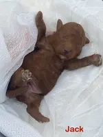 processed/60071092-7fb3-4c10-8ac6-384af2bfac8d/listing/be9235ef-8b97-4559-890c-fab785d407a2/ff5c85f5-e6bd-4d35-a0db-d9c7a63165f6