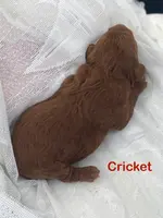 processed/60071092-7fb3-4c10-8ac6-384af2bfac8d/listing/c367f02d-a6ac-424b-976c-bfdf9b5afd38/0fe66de1-74e7-4cfc-9974-52ad9c54794a