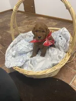 processed/60071092-7fb3-4c10-8ac6-384af2bfac8d/listing/c367f02d-a6ac-424b-976c-bfdf9b5afd38/37bf9ee0-6abb-460d-90e7-2572a0ae83e2