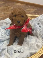 processed/60071092-7fb3-4c10-8ac6-384af2bfac8d/listing/c367f02d-a6ac-424b-976c-bfdf9b5afd38/60a98458-5c81-4c4f-ad20-eb9133913948