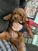 processed/60071092-7fb3-4c10-8ac6-384af2bfac8d/listing/c367f02d-a6ac-424b-976c-bfdf9b5afd38/a6d58cd8-ac84-49f5-9c3e-a4e5a1c2a8cf