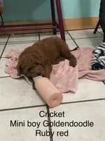 processed/60071092-7fb3-4c10-8ac6-384af2bfac8d/listing/c367f02d-a6ac-424b-976c-bfdf9b5afd38/bf347878-506b-4b23-b174-125c5bf9b802