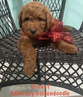 processed/60071092-7fb3-4c10-8ac6-384af2bfac8d/listing/c367f02d-a6ac-424b-976c-bfdf9b5afd38/d5139aa0-6399-45bb-8414-13bb00e67a7f