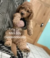 processed/60071092-7fb3-4c10-8ac6-384af2bfac8d/listing/cac3929d-4829-43ed-a034-db35534272d1/206330da-f150-4f36-9dfa-8ac82bf7cf34