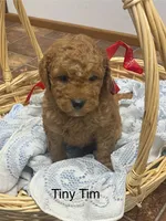 processed/60071092-7fb3-4c10-8ac6-384af2bfac8d/listing/cac3929d-4829-43ed-a034-db35534272d1/55953ced-bd35-450d-baf9-56546f9c79ea