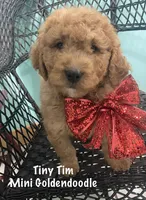 processed/60071092-7fb3-4c10-8ac6-384af2bfac8d/listing/cac3929d-4829-43ed-a034-db35534272d1/5ac9cc9a-b0e4-4026-88b0-fc39f75e914c