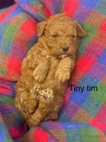 processed/60071092-7fb3-4c10-8ac6-384af2bfac8d/listing/cac3929d-4829-43ed-a034-db35534272d1/847691ab-34df-4fb8-8ba6-23b5b7792047