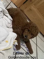 processed/60071092-7fb3-4c10-8ac6-384af2bfac8d/listing/cac3929d-4829-43ed-a034-db35534272d1/9bd48571-ea61-4f2d-a366-c17ad52bb21c