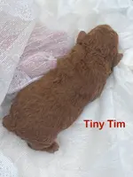 processed/60071092-7fb3-4c10-8ac6-384af2bfac8d/listing/cac3929d-4829-43ed-a034-db35534272d1/b543683e-3f03-42de-b390-0d127abcb5a5