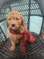 processed/60071092-7fb3-4c10-8ac6-384af2bfac8d/listing/cac3929d-4829-43ed-a034-db35534272d1/f6a56aff-aafa-471c-95a2-58386e9bee4a