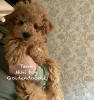 processed/60071092-7fb3-4c10-8ac6-384af2bfac8d/listing/dabe2097-2011-43e7-aa16-d817ae6b1bb3/2a3f7f01-08a4-41c9-97c5-159732393ac6