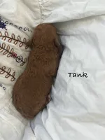 processed/60071092-7fb3-4c10-8ac6-384af2bfac8d/listing/dabe2097-2011-43e7-aa16-d817ae6b1bb3/3f1a76db-e3ad-4543-923b-f8aa420eeca5