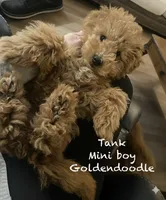 processed/60071092-7fb3-4c10-8ac6-384af2bfac8d/listing/dabe2097-2011-43e7-aa16-d817ae6b1bb3/5c1a6118-9a06-4ae7-bcfe-2063cfd4b269