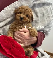 processed/60071092-7fb3-4c10-8ac6-384af2bfac8d/listing/dabe2097-2011-43e7-aa16-d817ae6b1bb3/af21b24b-8a94-4496-bfcf-bf98dea5c366