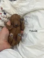 processed/60071092-7fb3-4c10-8ac6-384af2bfac8d/listing/dabe2097-2011-43e7-aa16-d817ae6b1bb3/ef971740-191b-4b06-baf4-9d151a271ce6